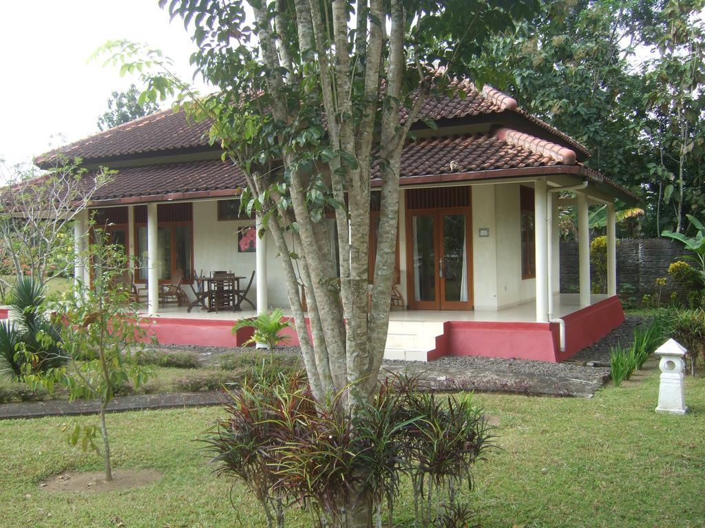 Guesthouse Rumah Senang Kalibaru Exterior foto